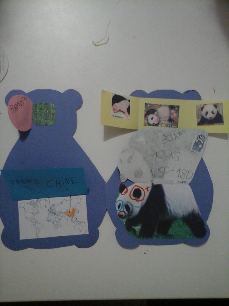 Lapbook panda