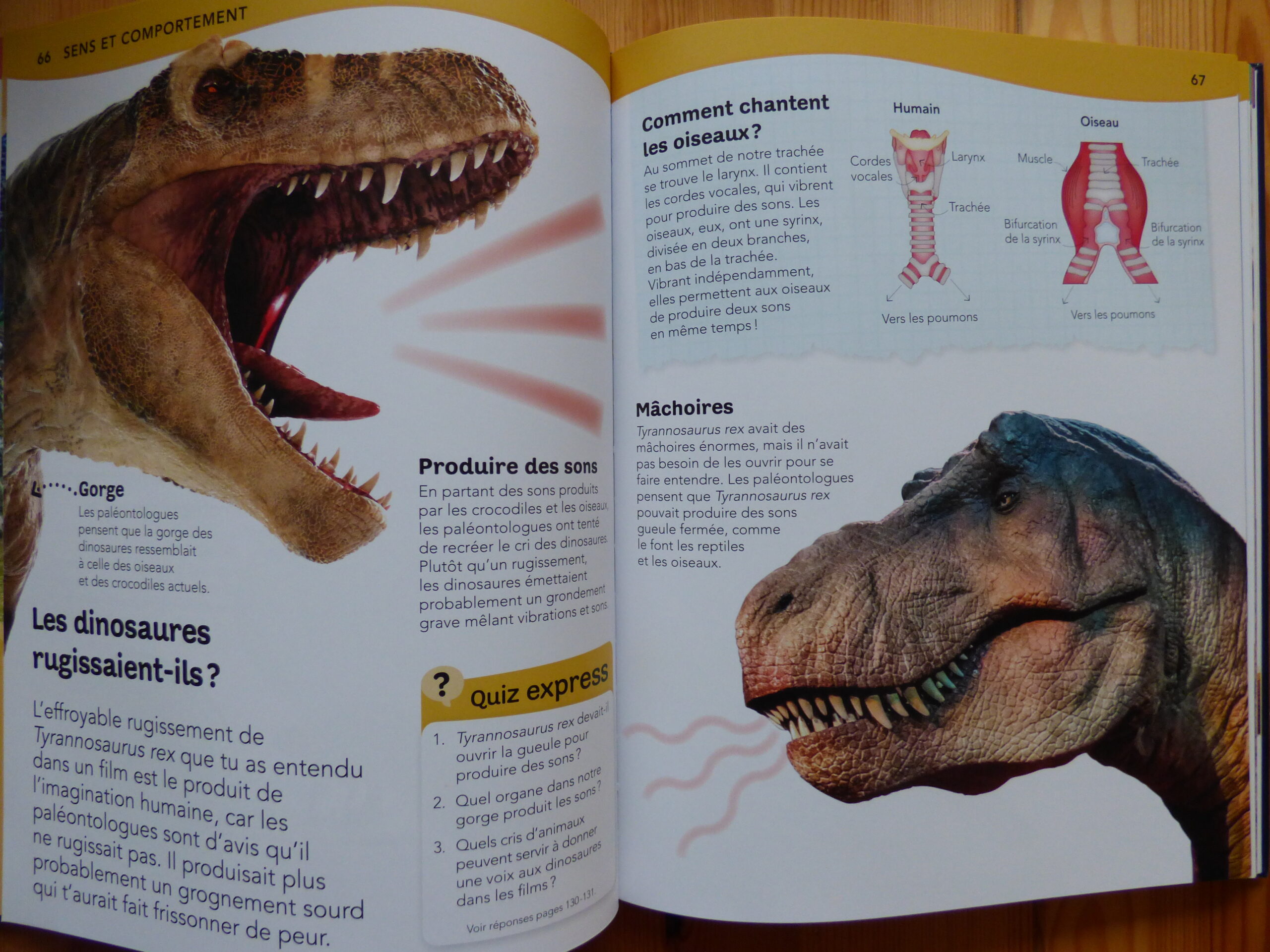 L'encyclopédie des dinosaures, extrait