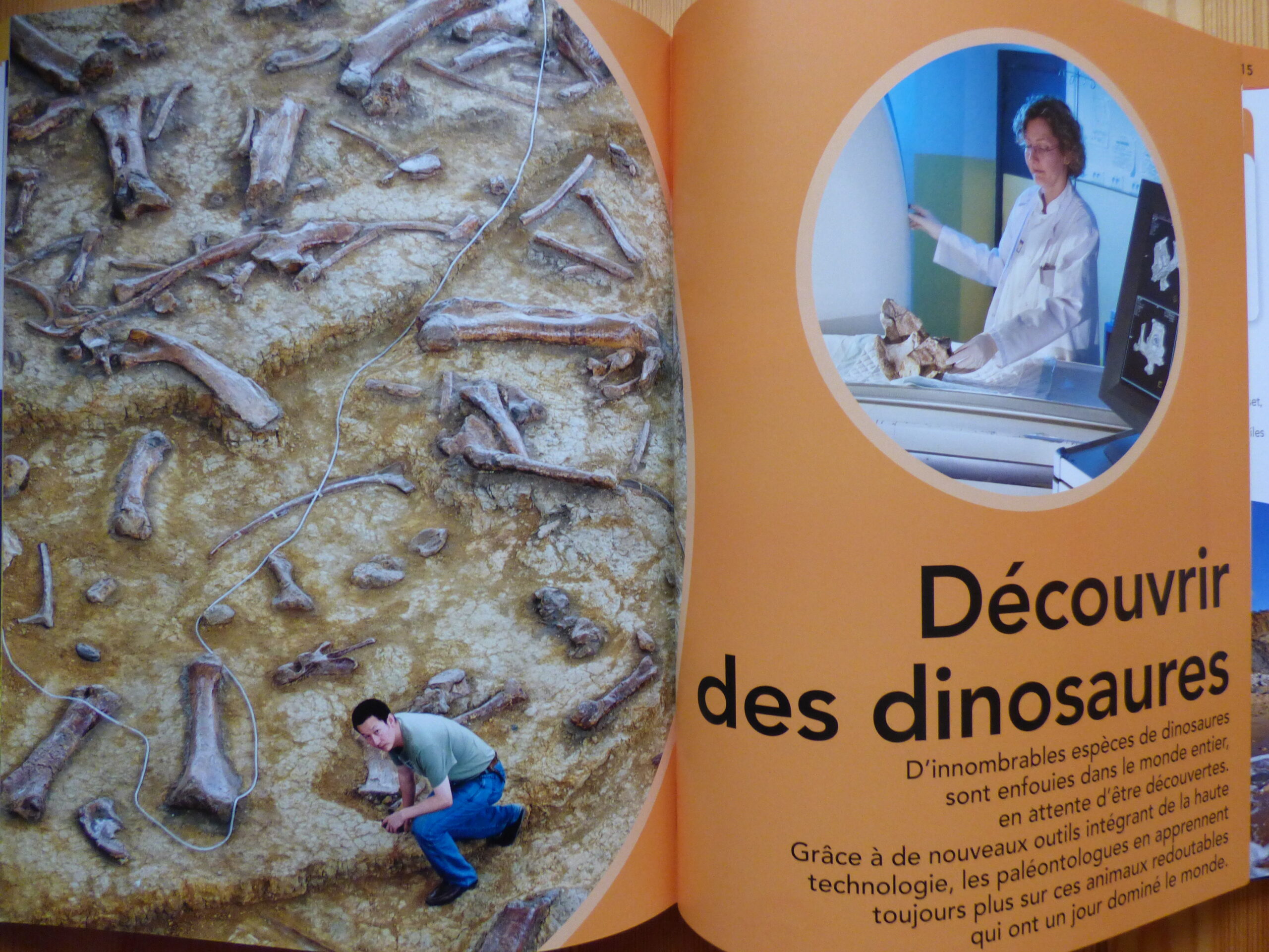 L'encyclopédie des dinosaures, extrait