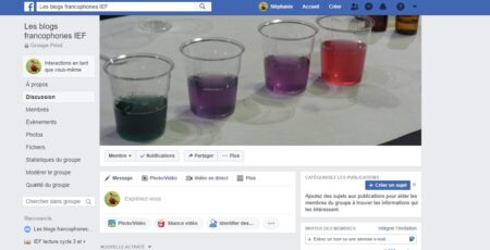 Groupe Facebook Blogs francophones IEF