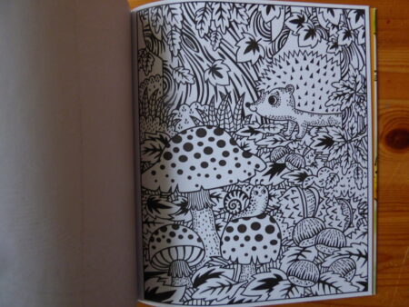 Dans la forêt, page à peindre