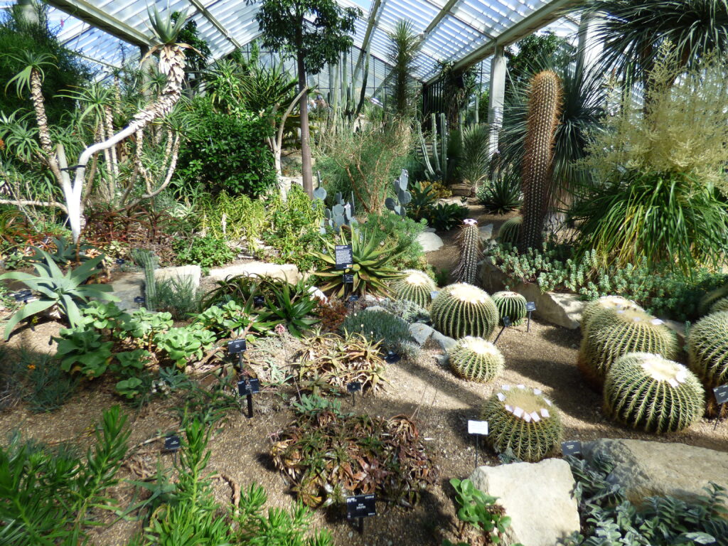 Kew Gardens, dans la serre