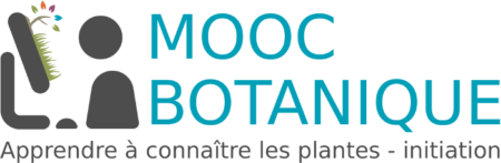 MOOC botanique logo