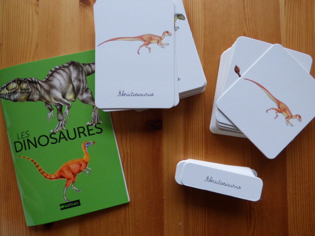 Mon coffret Montessori des dinosaures, cartes de nomenclature