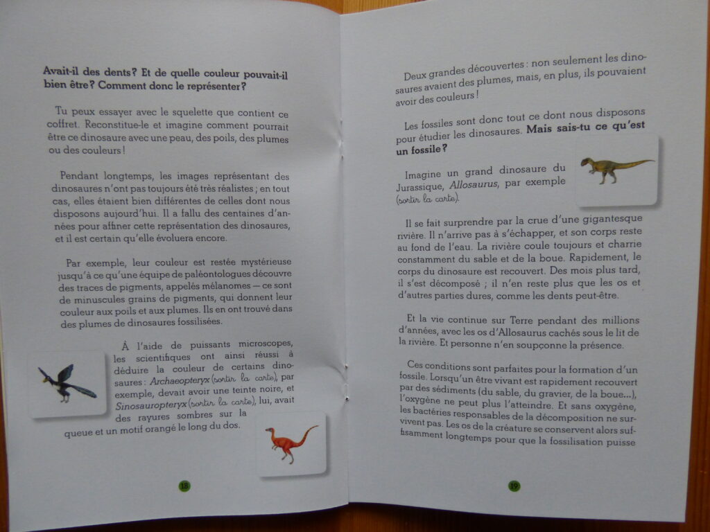 Mon coffret Montessori des dinosaures, livret