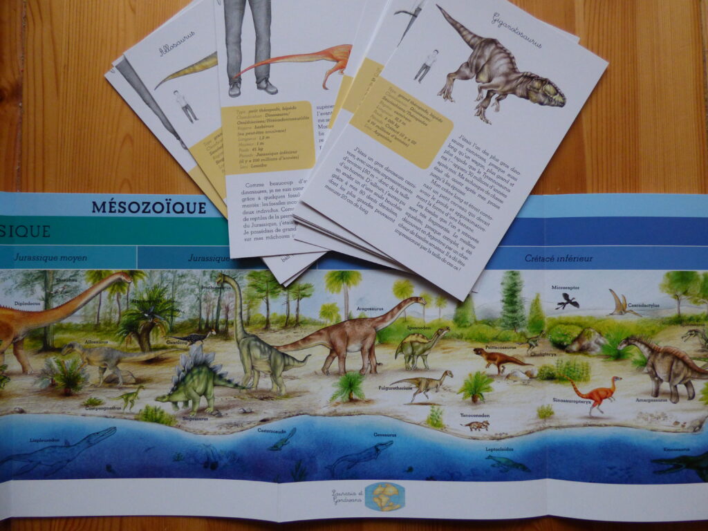 Mon coffret Montessori des dinosaures, frise et fiches