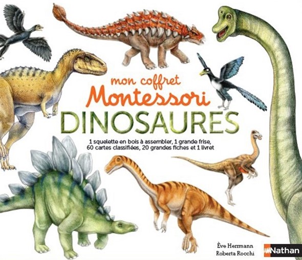 Mon coffret Montessori des dinosaures, coffret