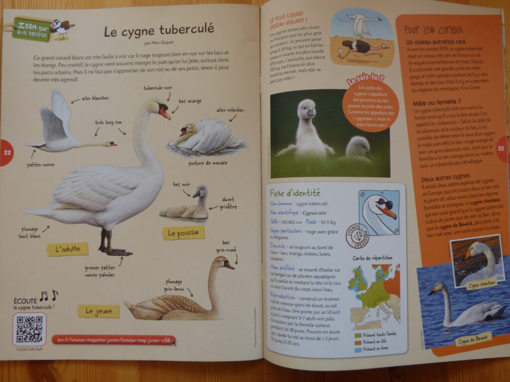 Oiseau Mag Junior Printemps 2020, extrait