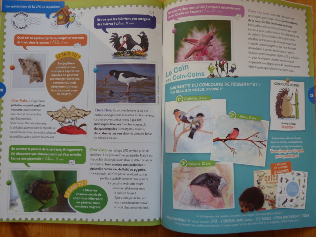 Oiseau Mag Junior Printemps 2020, extrait