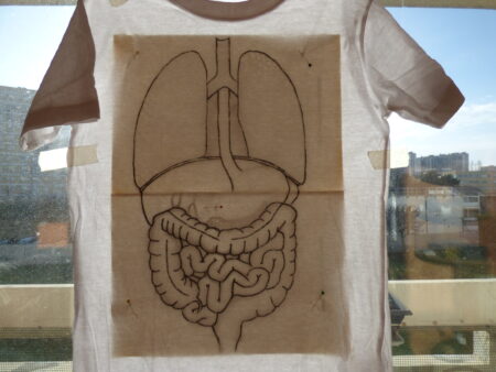 Tee-shirt anatomique en cours