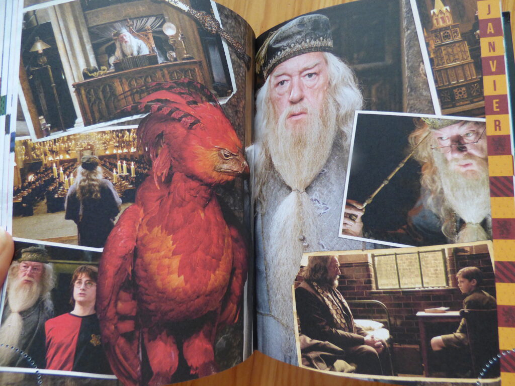 Agendas Harry Potter, page de janvier