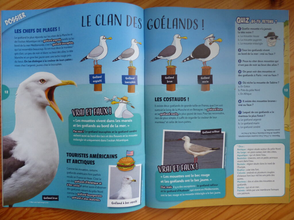 Oiseau Mag Junior Eté 2021 dossier