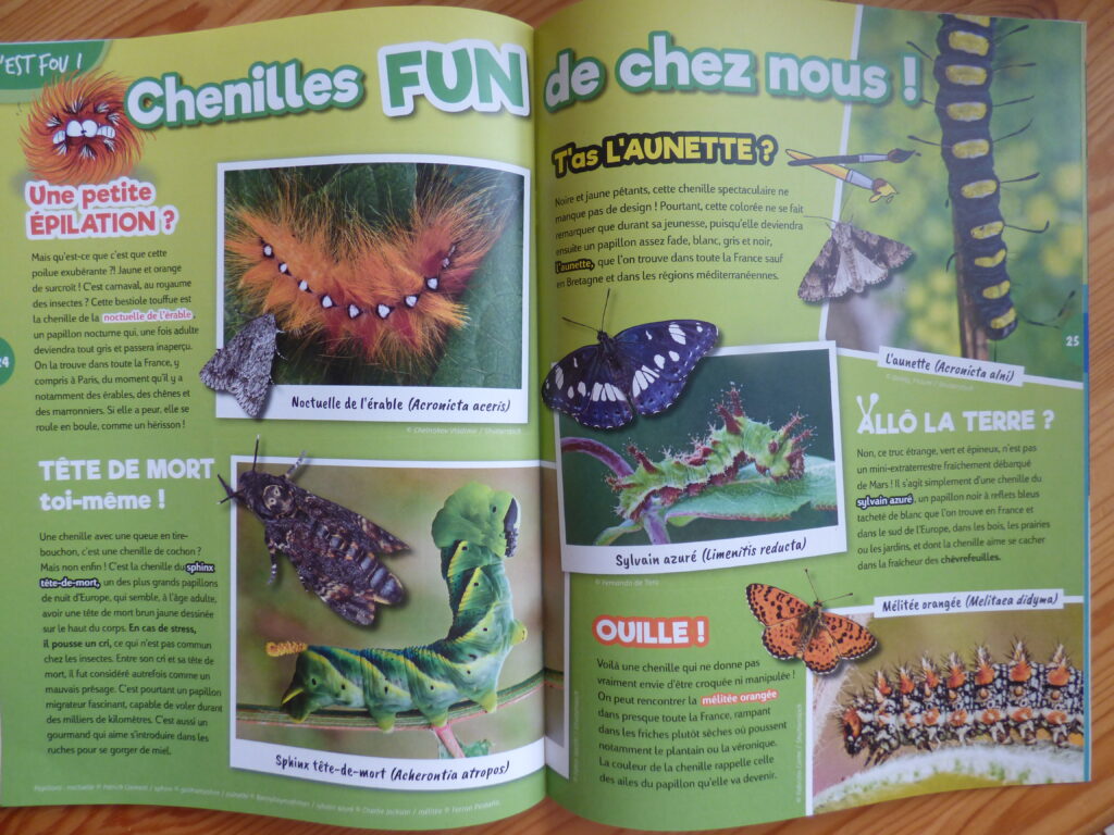 Oiseau Mag Junior Eté 2021 article