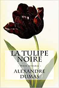 La tulipe noire couverture