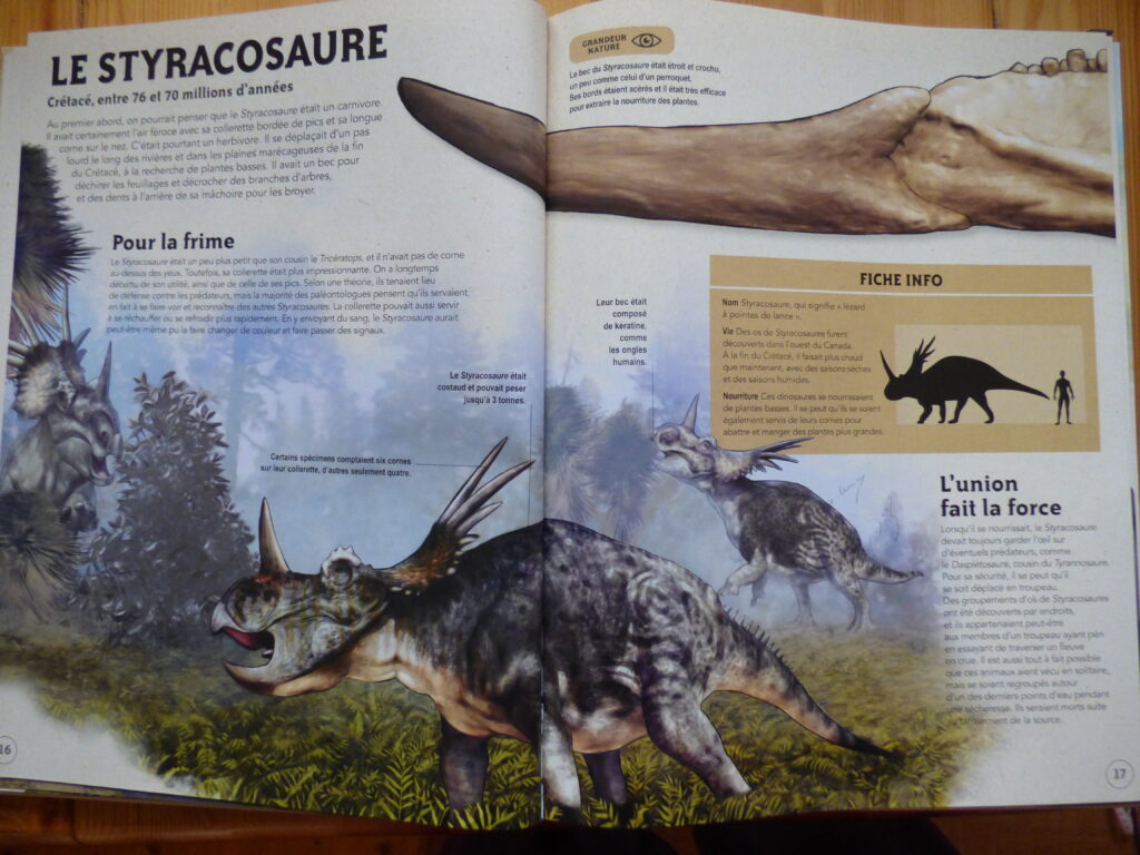 Dinosaures, livre