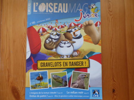 Oiseau Mag Junior, printemps 2022, couverture