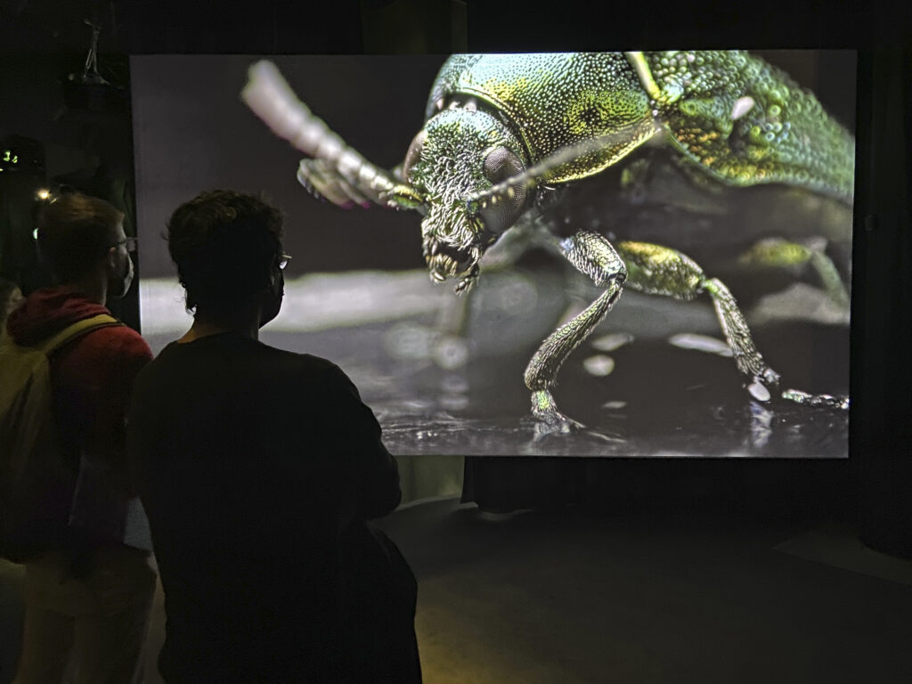 Exposition L'Odyssée sensorielle, MNHN