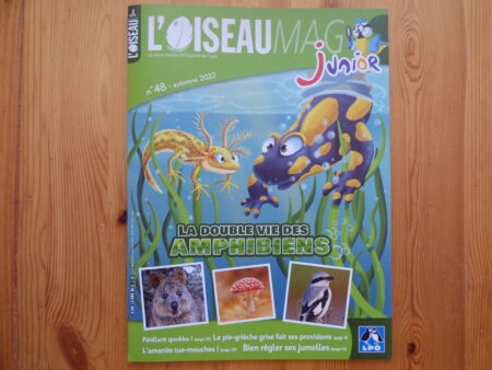 L'Oiseau Mag Junior automne 22, couverture