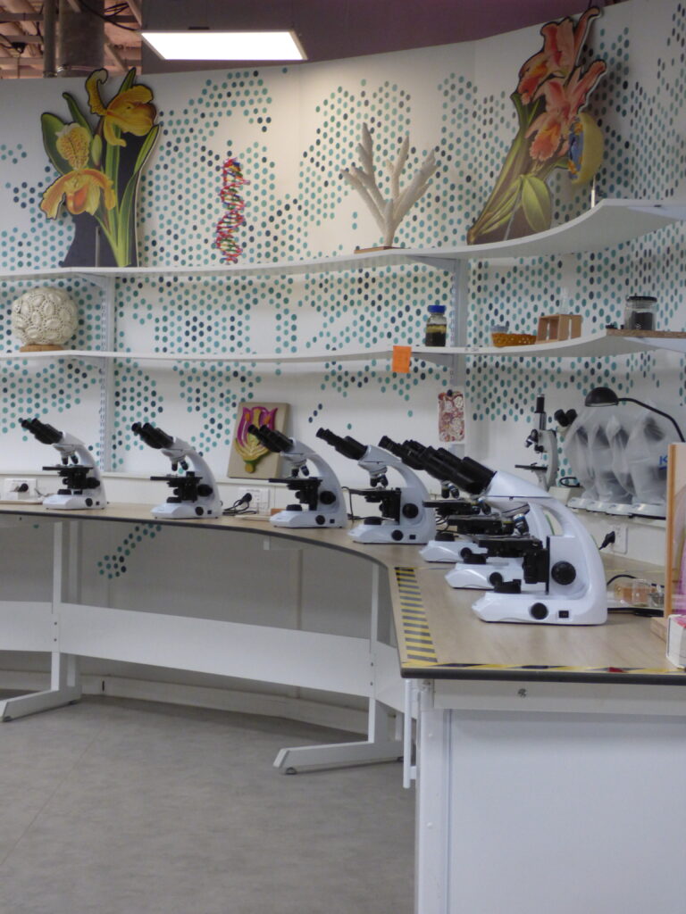 Atelier Biolab, microscopes