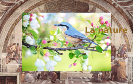 La nature
