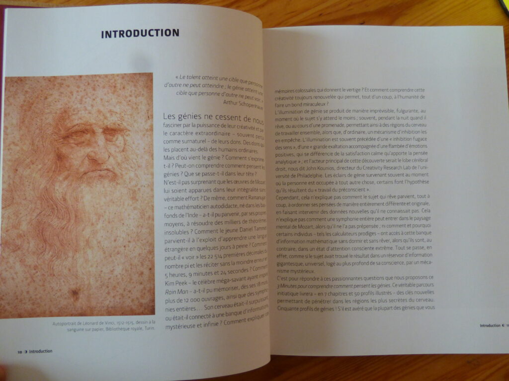 3 minutes pour comprendre comment pensent les génies, extrait
