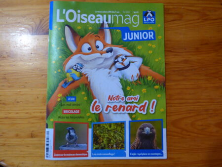 Oiseau Mag Junior Eté, couverture