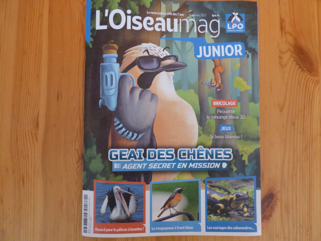 Oiseau Mag Jurnior automne 2023, couverture