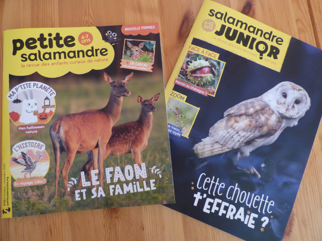 Magazines jeunesse Salamandre oct-nov 2023, couvertures