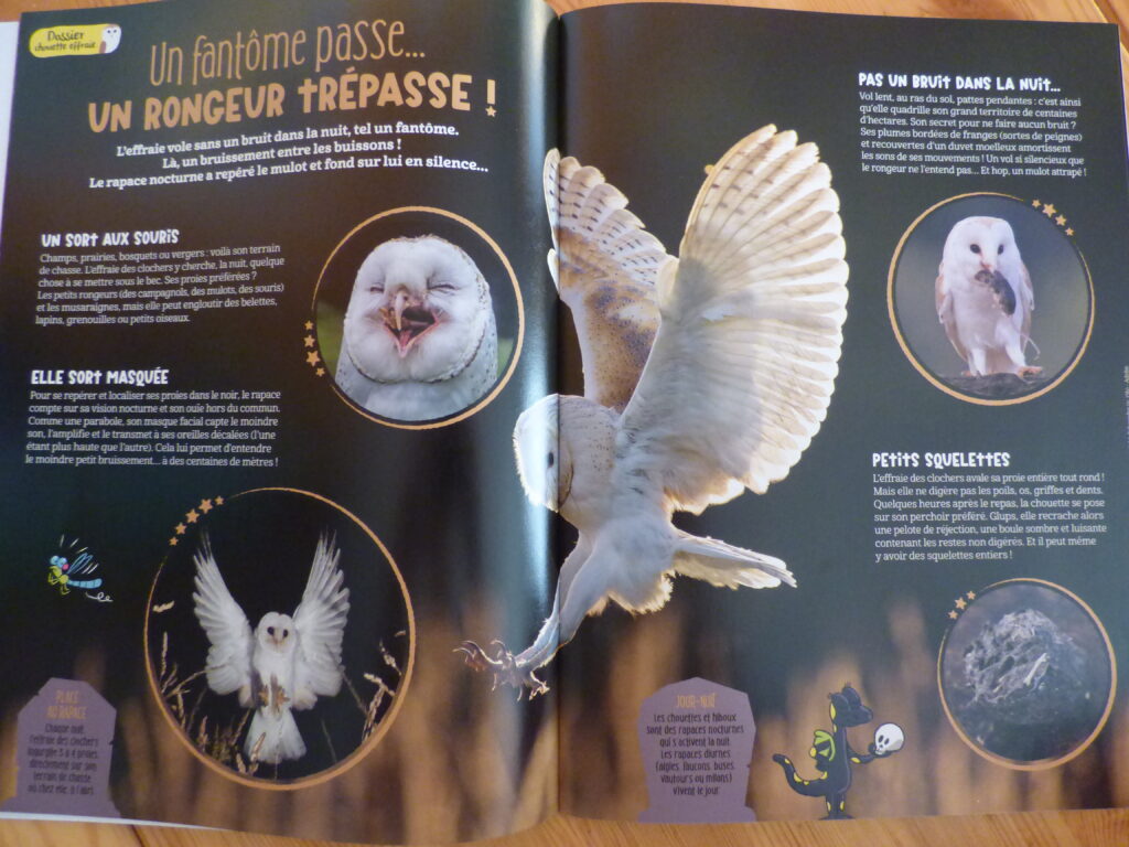 Magazine jeunesse Salamandre Junior oct-nov 2023, dossier