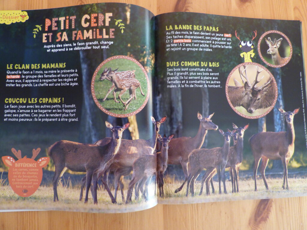Magazine jeunesse Petite Salamandre oct-nov 2023, dossier