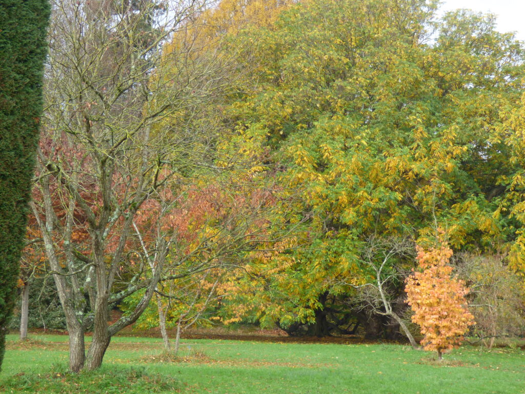 Parc de la Vallée-aux-Loups