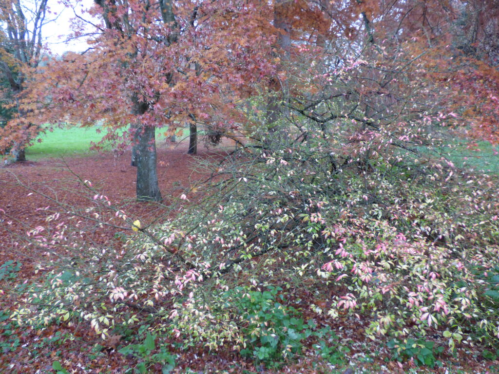 Parc de la Vallée-aux-Loups