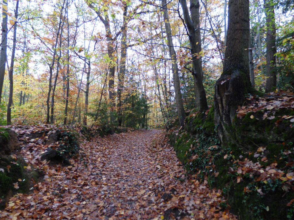 Parc de la Vallée-aux-Loups