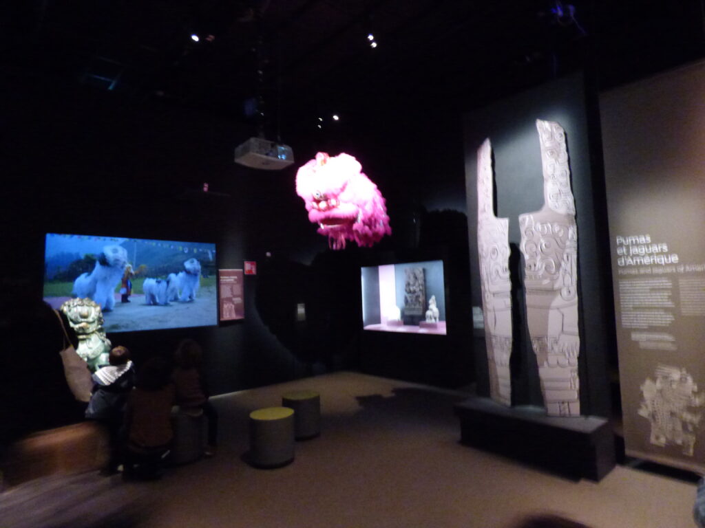 Exposition Félins au Muséum national d'histoire naturelle