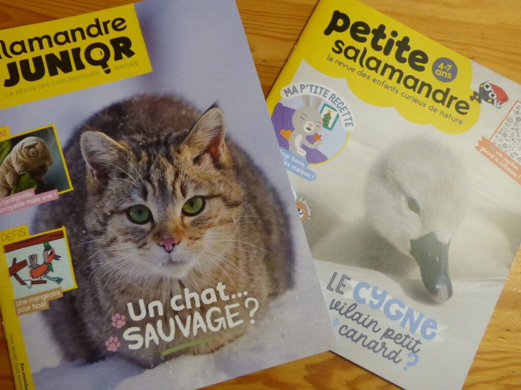 Magazines Jeunesse Salamandre, décembre 2023 - janvier 2024