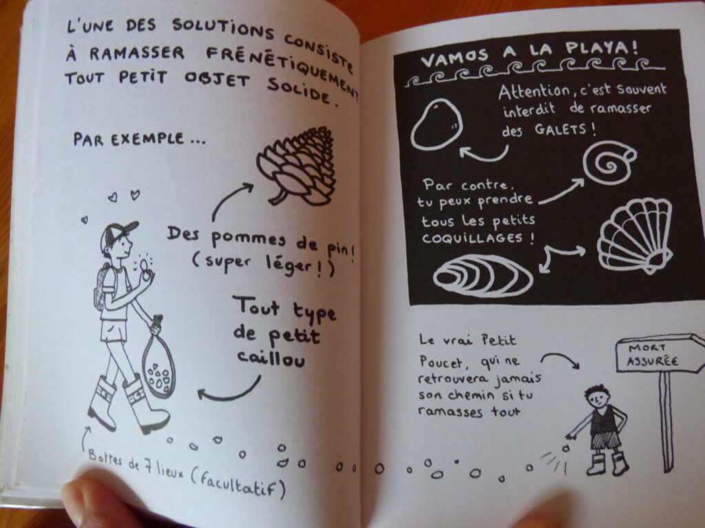 Comment avoir des plantes gratuites chez soi, extrait