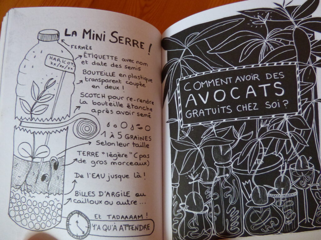 Comment avoir des plantes gratuites chez soi, extrait