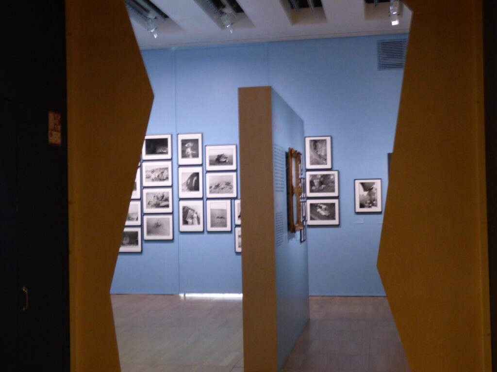 Exposition Préhistomania, au musée de l'Homme, photos