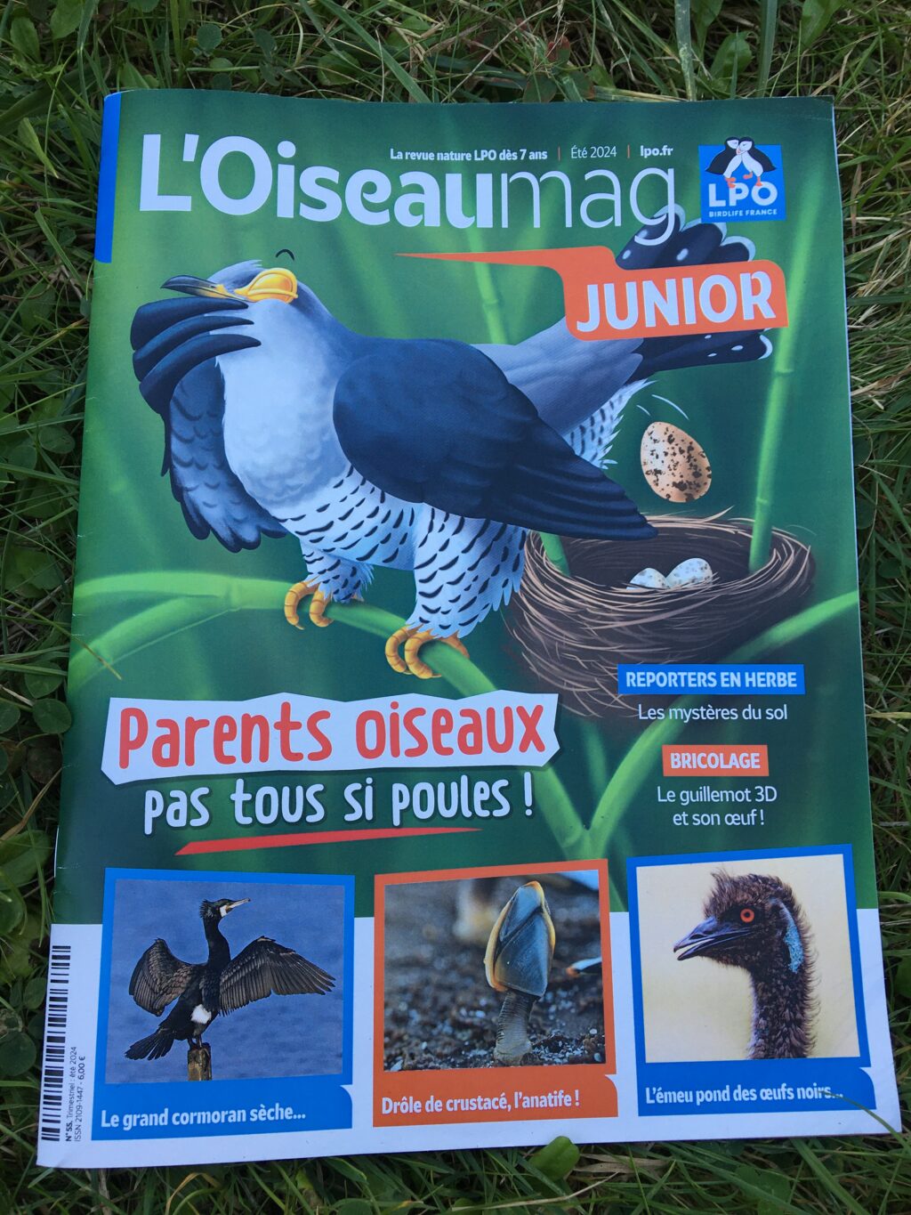 L'Oiseau Mag Eté 24, couverture