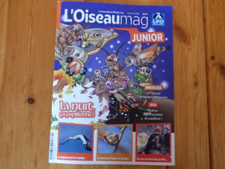 L'oiseau mag junior automne 2024, couverture